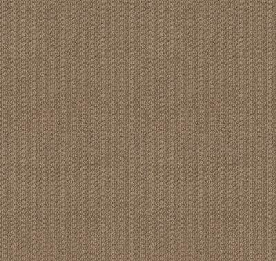 Anderson Tuftex Classics Cathedral Hill II PATTERNED LOOP Graham Cracker tfsnm-00724_ZZ040