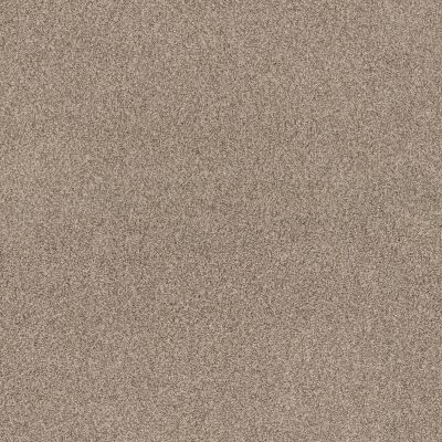 Anderson Tuftex Via Nova TEXTURED CUT PILE Cascade tfsnm-00724_ZZ276