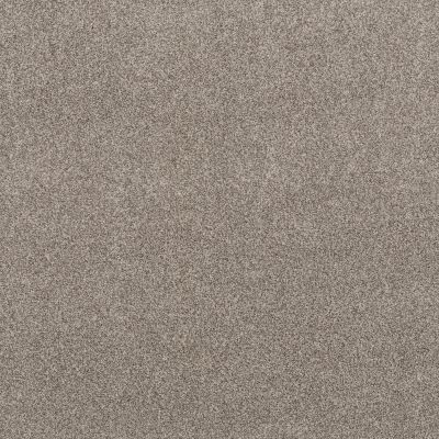 Anderson Tuftex Via Nova TEXTURED CUT PILE Pashmina tfsnm-00754_ZZ276