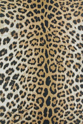 Couristan Dolce Amur Leopard New Gold Collection