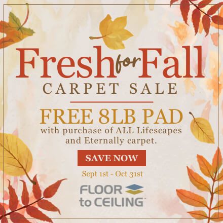 Floor To Ceiling - Fall Carpet Sale Sept 2022