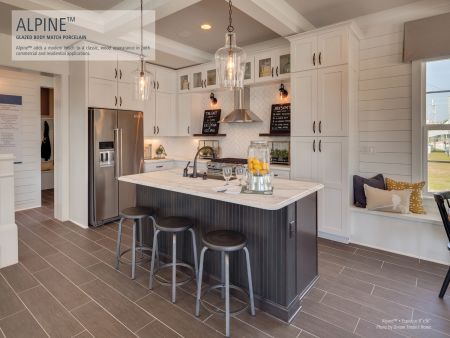 Emser Alpine Porcelain Matte Mocha