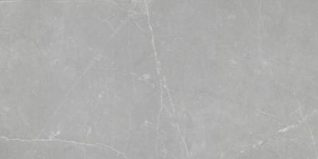 Emser Sterlina Porcelain Polished Gray