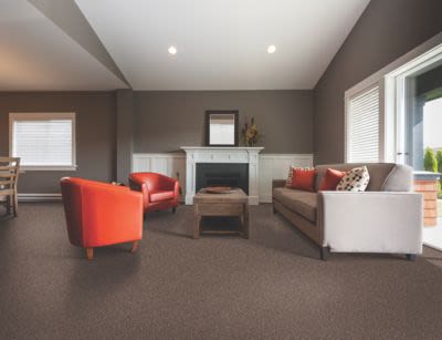 Mohawk Polished Shades II Shadow Taupe