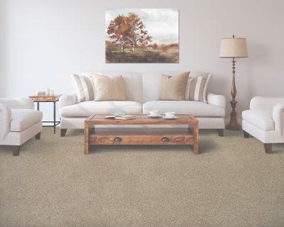 Mohawk Color Fusion II Driftwood