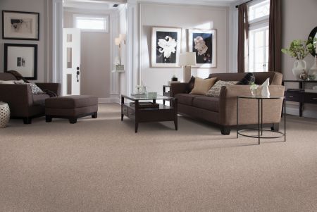 Mohawk Everstrand Elegant Appeal III Mediterranean