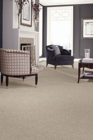 Mohawk Smartstrand Perfect Attraction Anchor Grey