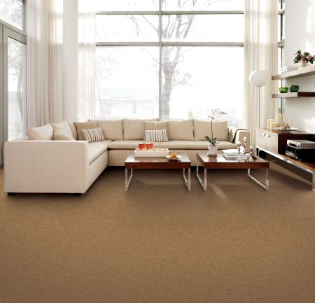 Mohawk Smartstrand Classical Design I Coco Mocha