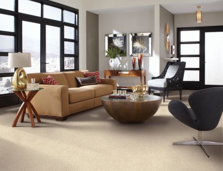 Mohawk Smartstrand Silk Pleasant Touch Gondola