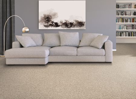 Mohawk Everstrand Cozy Classic Ancient Treasure