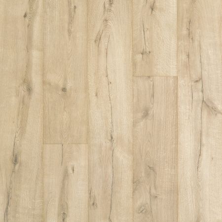 Aladdin Commercial Dynamic Composition Coastal Oak