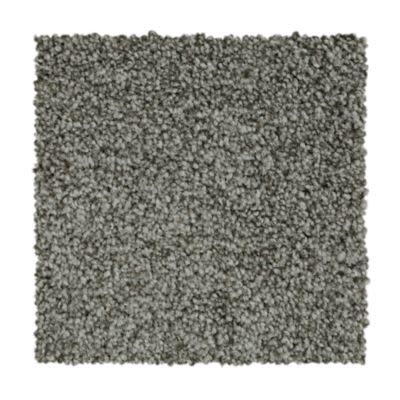 Mohawk Polished Shades II Truffle