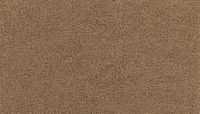 Mohawk Calming Image I Artisan Hue