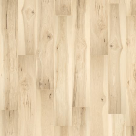 Pergo Elements Ultra Prestano Sugared Hickory