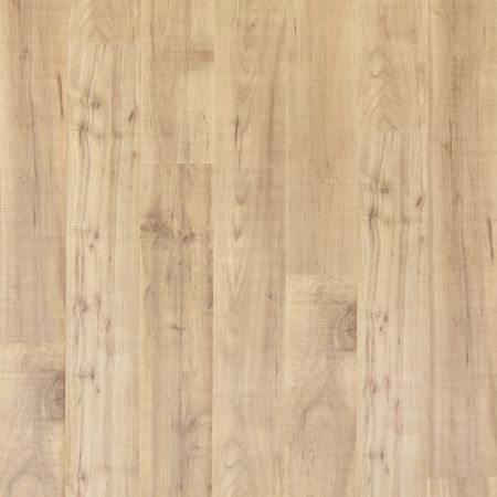 Mohawk Puretech Plus Ellenwood Maple Sapling