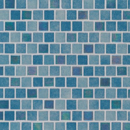 MSI Glass Tile Carribean Reef