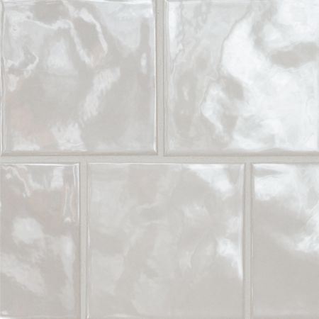 MSI Dove 5x5 Ceramic Wall Tile Renzo Dove