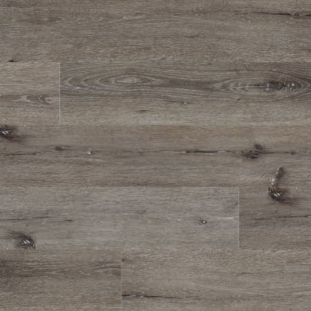 MSI Cyrus Ludlow Luxury Vinyl Planks Ludlow