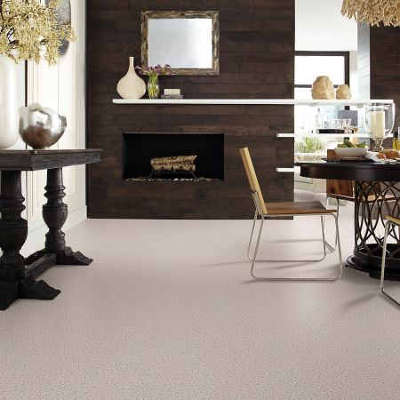 Shaw Floors Value Collections Full Court Net Moon Beam