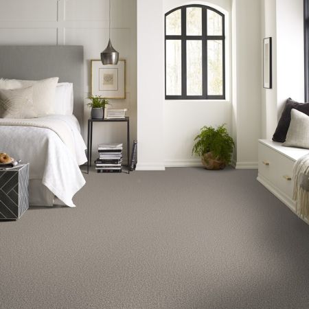 Shaw Floors SFA Tweed Comfort II Stand Out