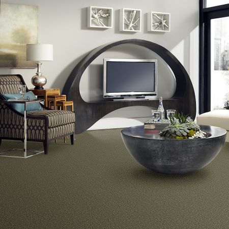Shaw Floors Roll Special Xv304 Aloe