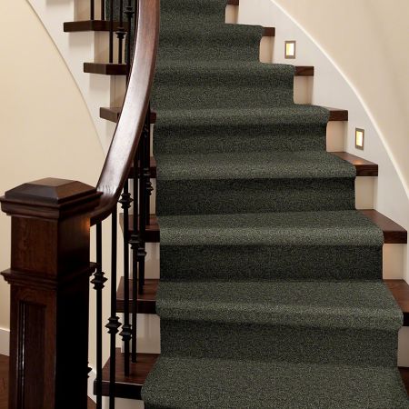 Shaw Floors SFA Take Part 15' Fern