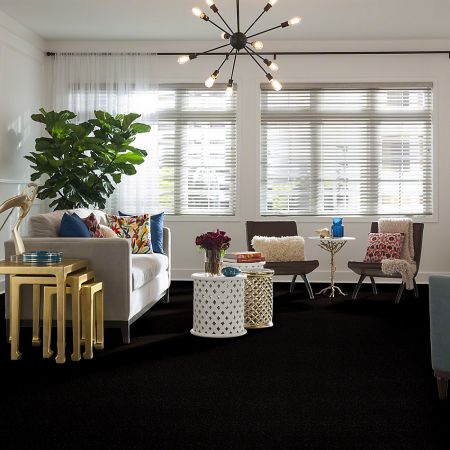 Shaw Floors SFA Drexel Hill II 12' Armour