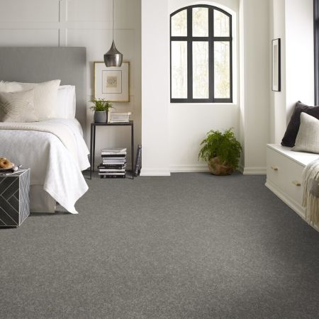 Shaw Floors Everlasting Tonal Dolphin