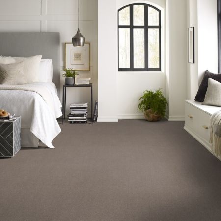 Shaw Floors Xz154 Tree Bark
