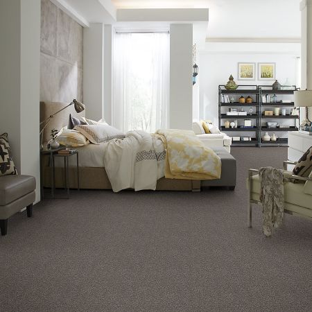 Shaw Floors Xz154 Pewter