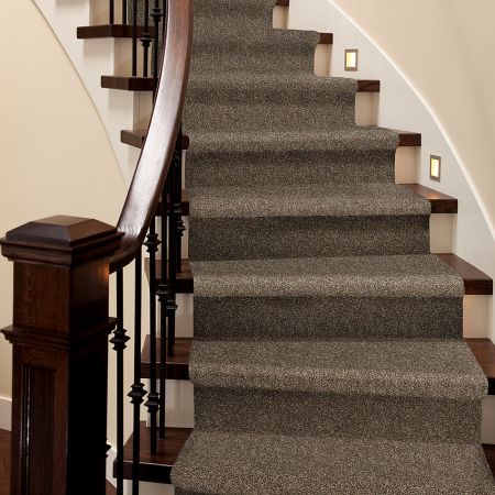 Shaw Floors Everlasting Tonal Rodeo