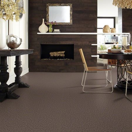 Shaw Floors SFA Drexel Hill II 12' Molasses