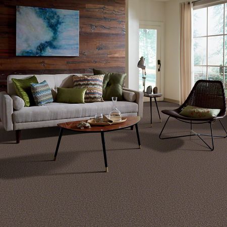 Shaw Floors SFA Drexel Hill II 12' Molasses