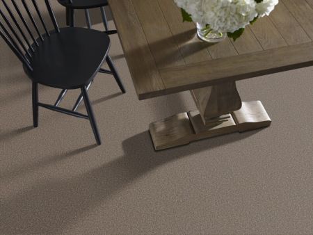 Shaw Floors SFA Tweed Comfort II Gathering