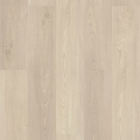 Shaw Floors Resilient Residential Paladin Plus Silver Dollar