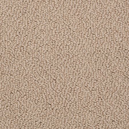 Shaw Floors SFA Danger Zone Champagne Sparkle