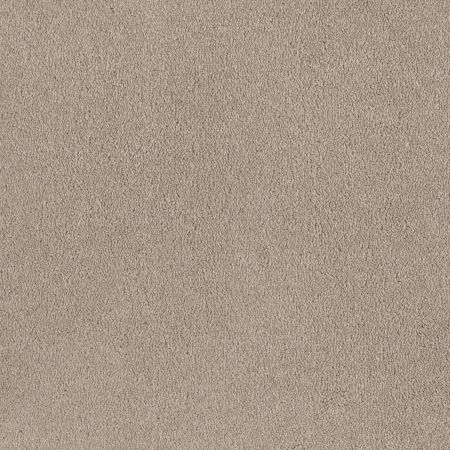 Shaw Floors SFA Born Better (s) Field Khaki