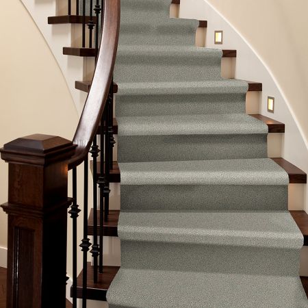 Shaw Floors Simply The Best Momentum I Moondance