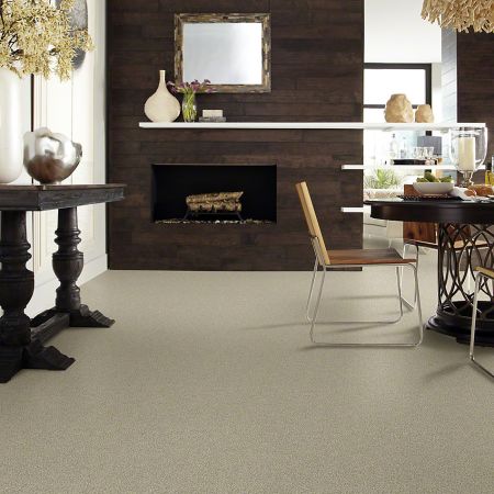 Shaw Floors Simply The Best Momentum II Plaza