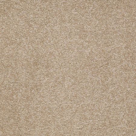 Shaw Floors Couture' Collection Ultimate Expression 15' Sahara