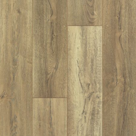 Shaw Floors Resilient Residential Pantheon HD Plus Foresta