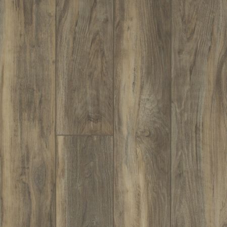 Shaw Floors Resilient Residential Pantheon HD Plus Ardesia