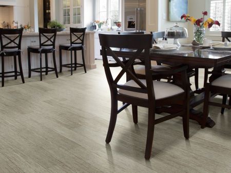 Shaw Floors Resilient Residential Valore Plus Plank Elba