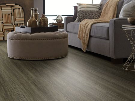 Shaw Floors Resilient Residential Alto Plus Plank Presanella