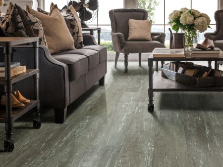 Shaw Floors Resilient Residential Alto Plus Plank Leone