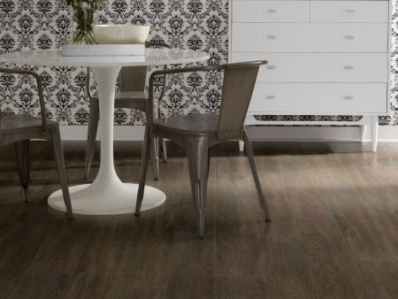 Shaw Floors Resilient Residential Alto Plus Plank Viso