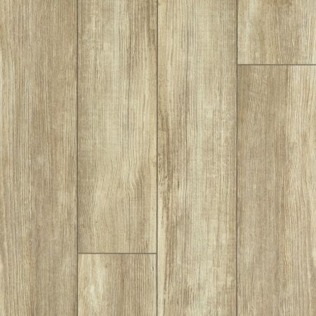 Shaw Floors Resilient Residential Tenacious Hd+ Accent Olive Branch