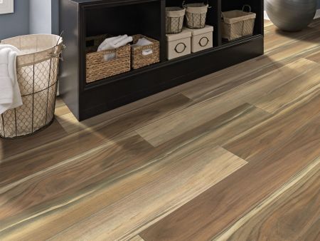 Shaw Floors Resilient Residential Tenacious Hd+ Accent Phoenix