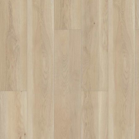 Shaw Floors Resilient Residential Paragon Hd+natural Bevel Cambridge