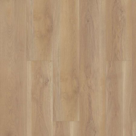 Shaw Floors Resilient Residential Paragon Hd+natural Bevel Edgemont